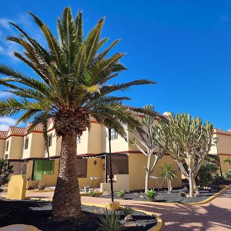 Ocean Forty C Apt. Green Oasis Costa Calma Fue المظهر الخارجي الصورة