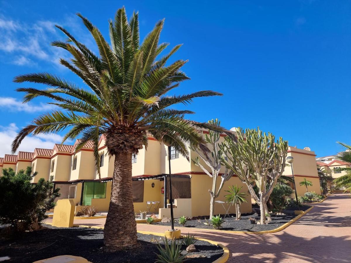 Ocean Forty C Apt. Green Oasis Costa Calma Fue المظهر الخارجي الصورة