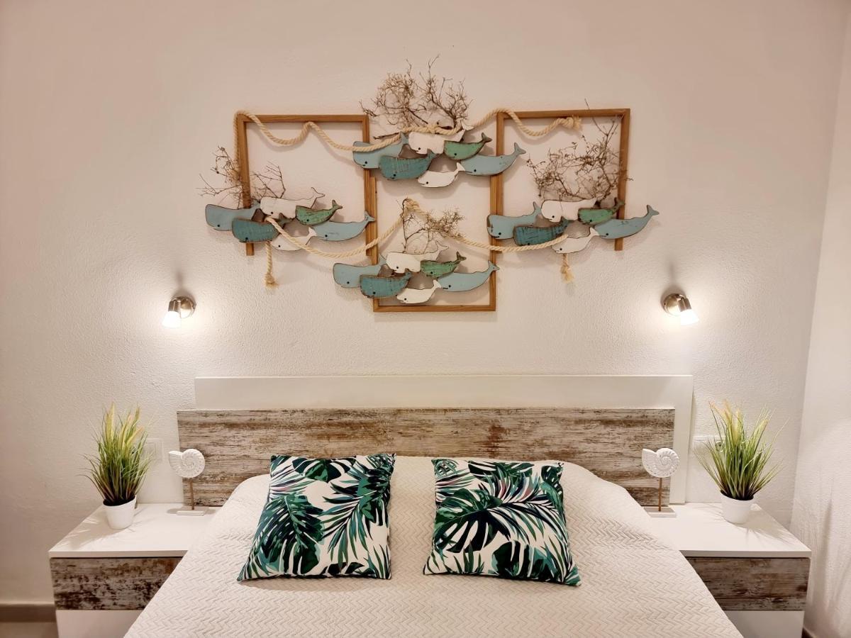 Ocean Forty C Apt. Green Oasis Costa Calma Fue المظهر الخارجي الصورة